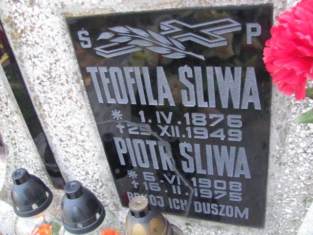 Teofila Śliwa 1876 Przecław - Grobonet - Wyszukiwarka osób pochowanych