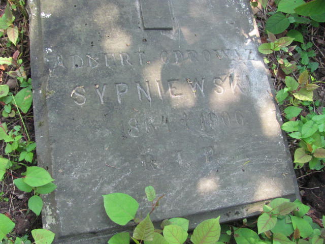 Albert Sypniewski 1863 Przecław - Grobonet - Wyszukiwarka osób pochowanych