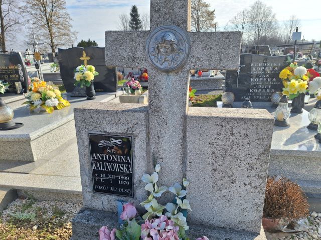 Antonina Kalinowska 1899 Przecław - Grobonet - Wyszukiwarka osób pochowanych