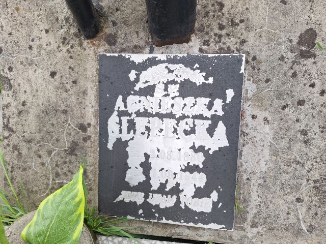 Agnieszka Ślepecka 1880 Przecław - Grobonet - Wyszukiwarka osób pochowanych
