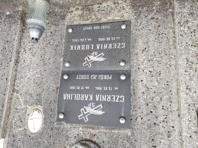 Ludwik Czernia 1890 Przecław - Grobonet - Wyszukiwarka osób pochowanych