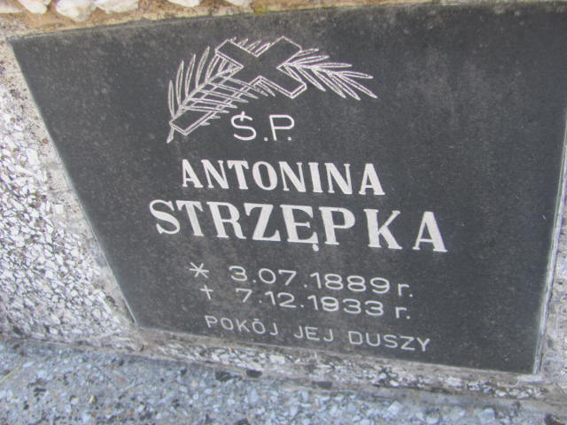 Antonina Strzępka 1889 Przecław - Grobonet - Wyszukiwarka osób pochowanych