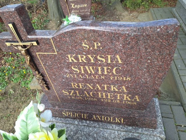 Grób Renata Szlachetka