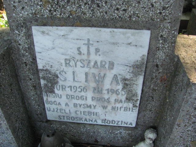 Ryszard Śliwa 1956 Przecław - Grobonet - Wyszukiwarka osób pochowanych