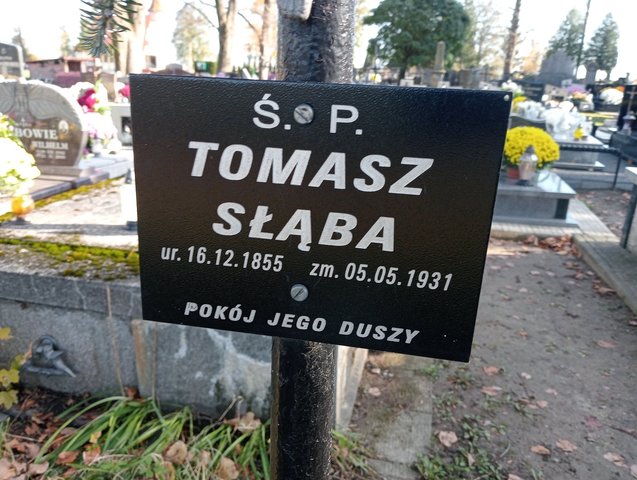 Tomasz Słąba 1854 Przecław - Grobonet - Wyszukiwarka osób pochowanych